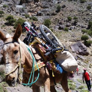 Enduro MTB Biking tour Morocco