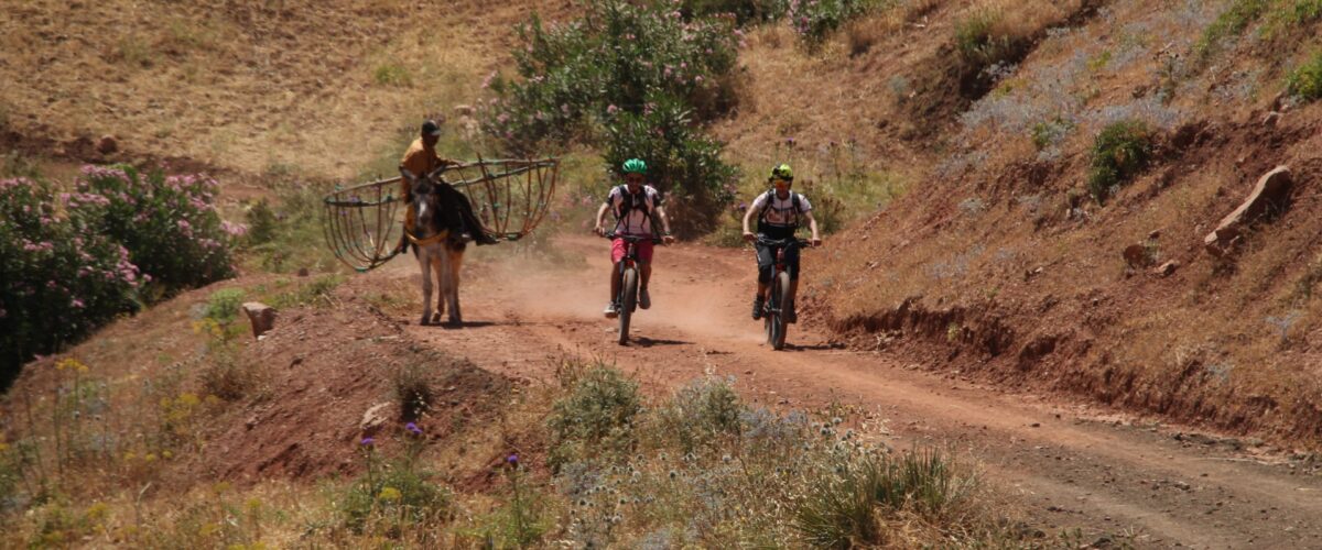 Luxury Mountain biking tour
