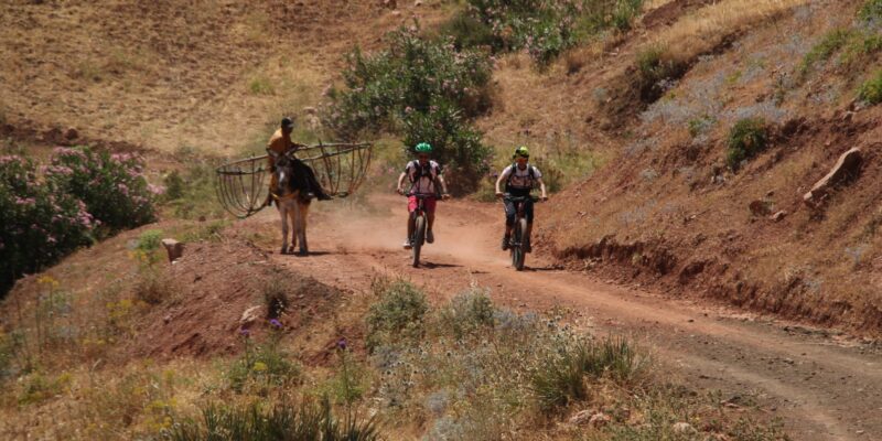 Luxury Mountain biking tour