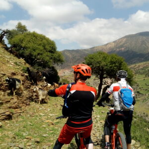 MTB tour Marrakech to Atlas Mountains